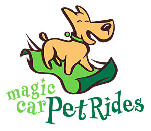 Magic CarPet Rides 